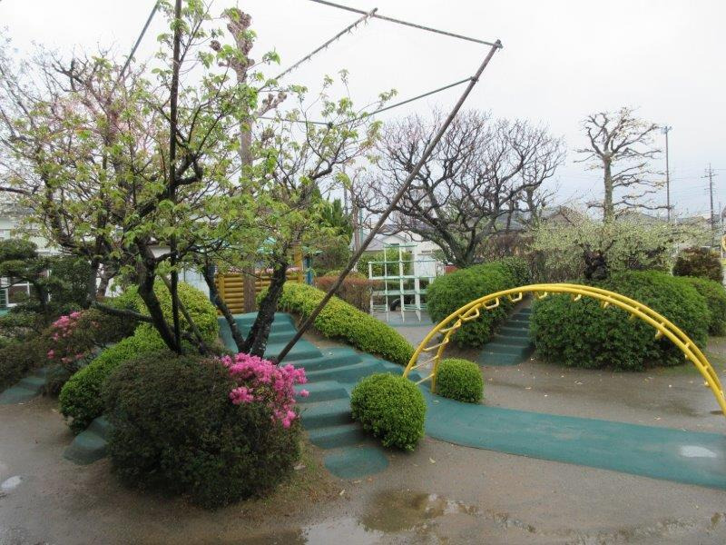 認定こども園　竜ヶ崎みどり（管理栄養士/栄養士の求人）の写真4枚目：