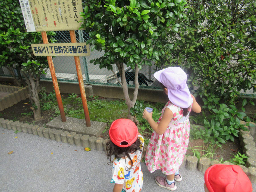 Kidsroom にっしー 西品川園（保育補助の求人）の写真4枚目：