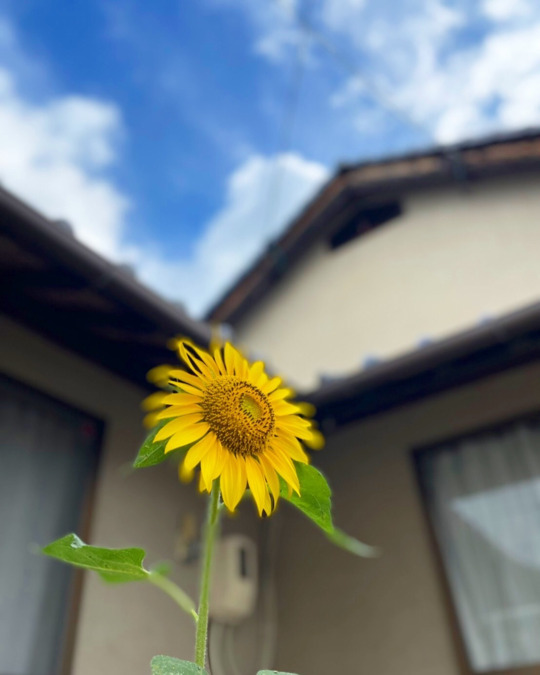 訪問看護リハビリステーション ひなた庚午(作業療法士の求人)の写真5枚目: