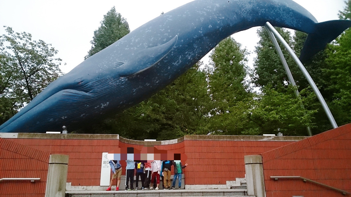 放課後等デイサービス　ドレミファソライズ FC中野（理学療法士の求人）の写真7枚目：課外活動