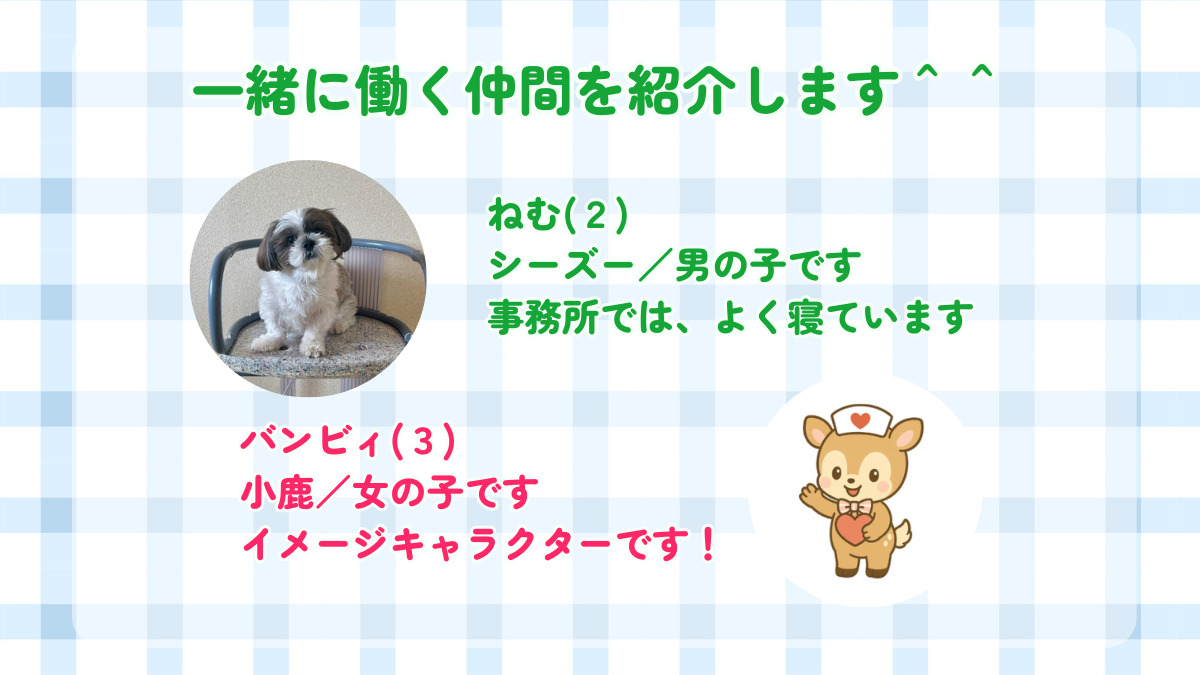 バンビナース訪問看護ステーション(看護師/准看護師の求人)の写真5枚目: