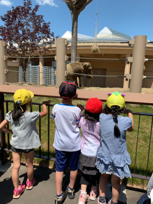 児童発達支援放課後等デイサービスたいむ(保育士の求人)の写真2枚目: