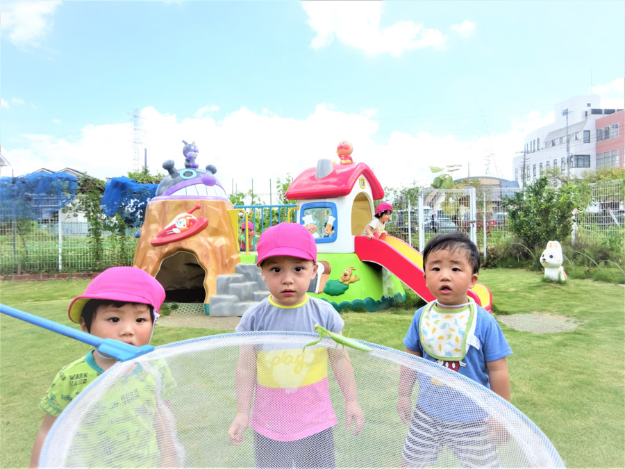 大増のぞみ保育園の写真3枚目：芝生のお庭には虫も遊びに来ます。