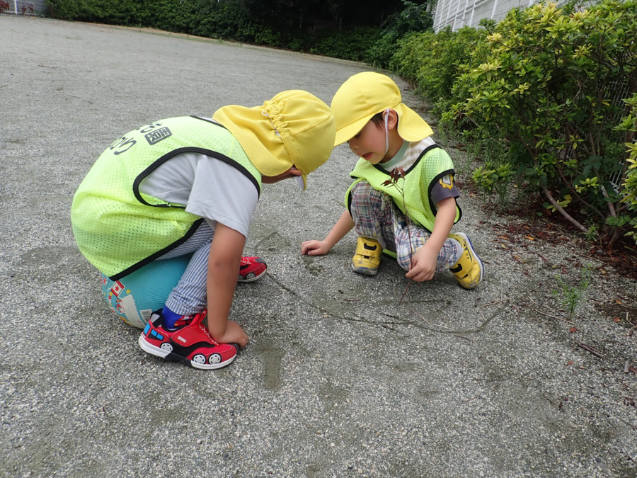 認定こども園岩槻ひかり（保育士の求人）の写真3枚目：