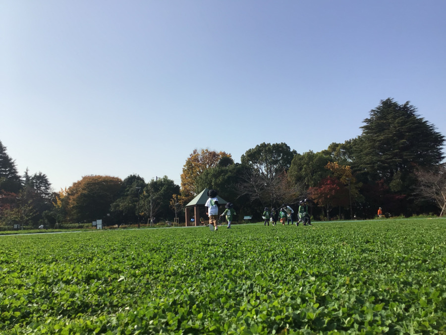 キッズフォレ平和の森の写真5枚目：