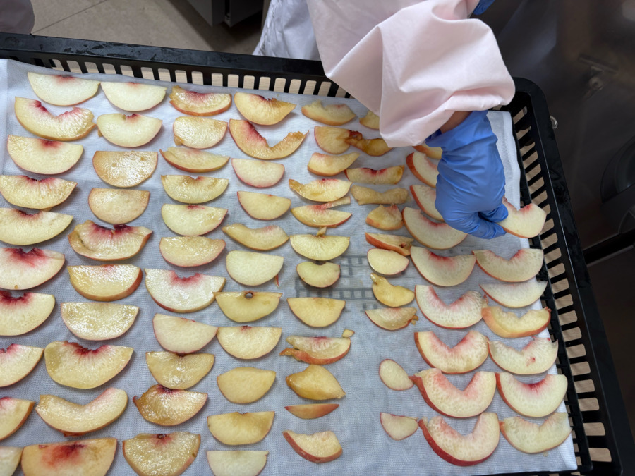 社会福祉法人いずみ苗場の会 つぼみの家(生活支援員の求人)の写真6枚目:ドライフルーツ作り