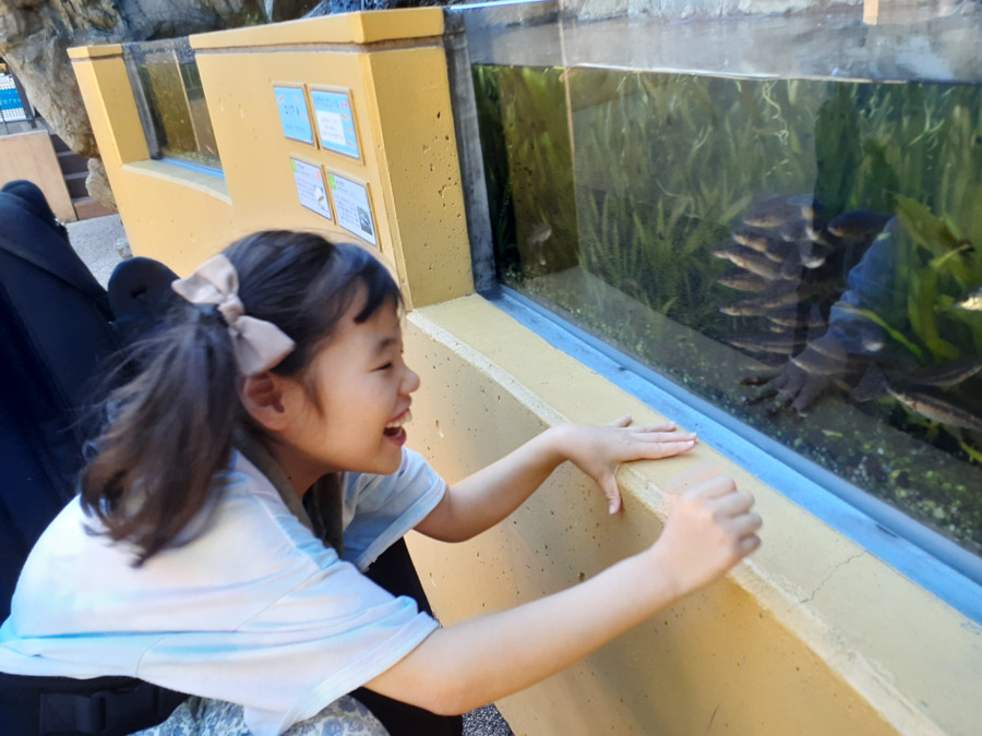 放課後等デイサービス・児童発達支援 オトノハ(保育士の求人)の写真3枚目: