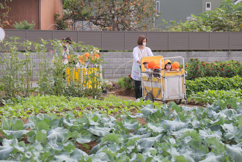 流山こばと保育園の写真