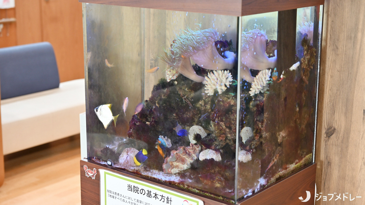 日野みんなの診療所(医療事務/受付の求人)の写真9枚目:院内には水槽を設置しています*