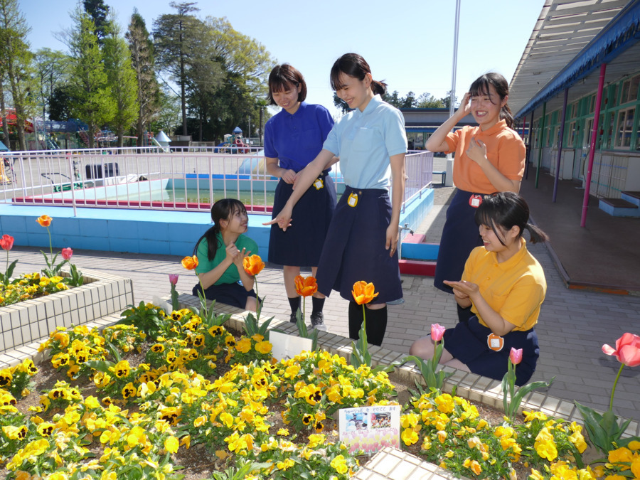 相模ひまわり幼稚園（保育士の求人）の写真4枚目：