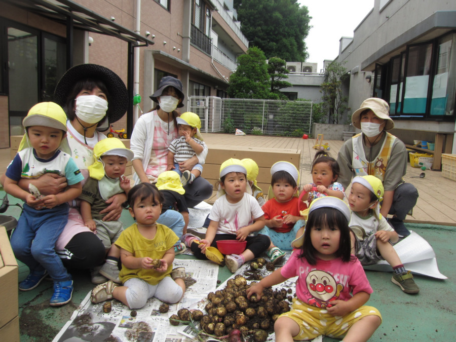 ひまわり保育園（保育士の求人）の写真3枚目：皆で芋ほりしました♪