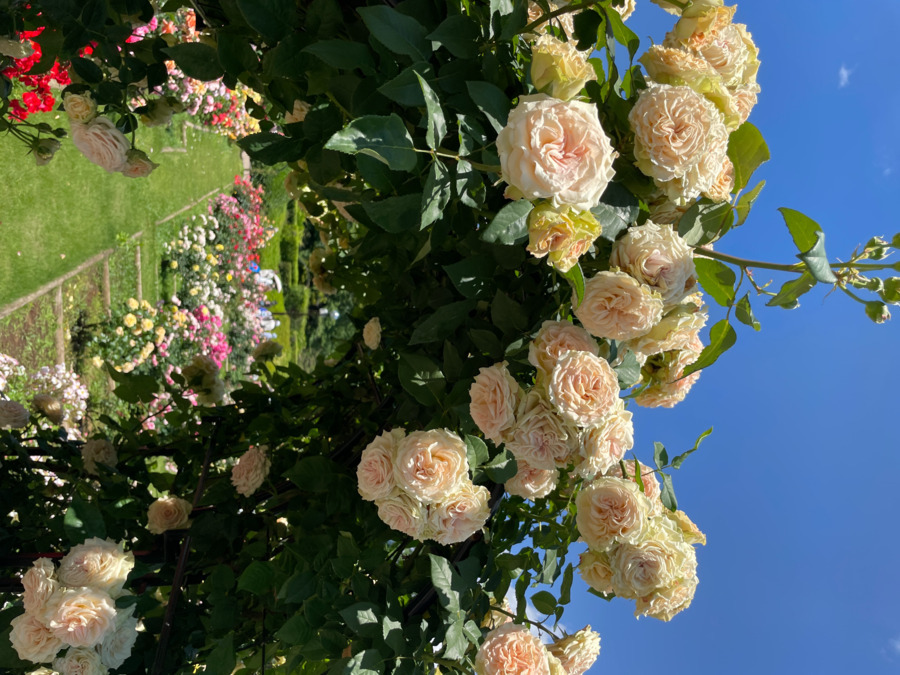 スマイルホーム3号棟の写真7枚目: