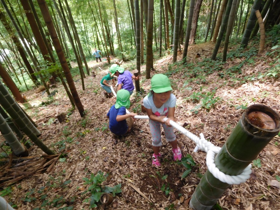 湘南まるめろ保育園の写真4枚目：