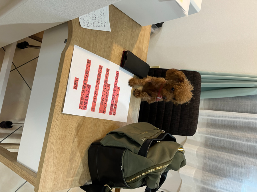 スマイルホーム3号棟の写真8枚目: