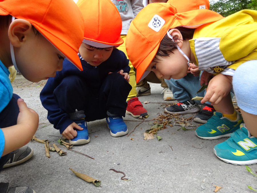 ピジョンランド練馬高野台の写真4枚目:戸外活動では近くの公園にいき、様々な遊びを取り入れています。