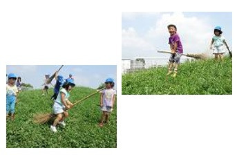 秦川愛児園(保育士の求人)の写真6枚目: