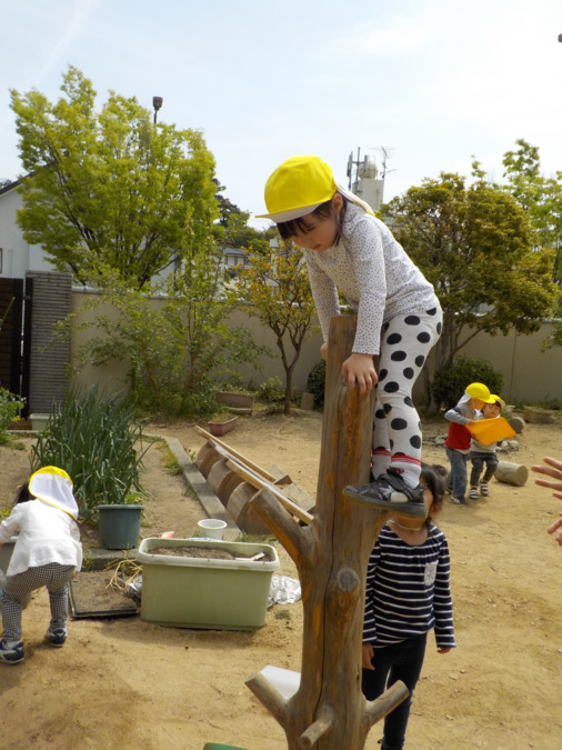 幼保連携型認定こども園 ニコニコ桜保育園（保育士の求人）の写真10枚目：しっかり自分の力で木登りできます（木登りするときは先生がついています）