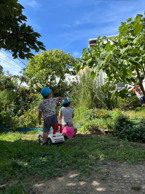 可愛い子保育園の写真4枚目:園庭
