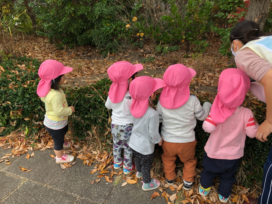 南大泉らる小規模保育園の写真2枚目: