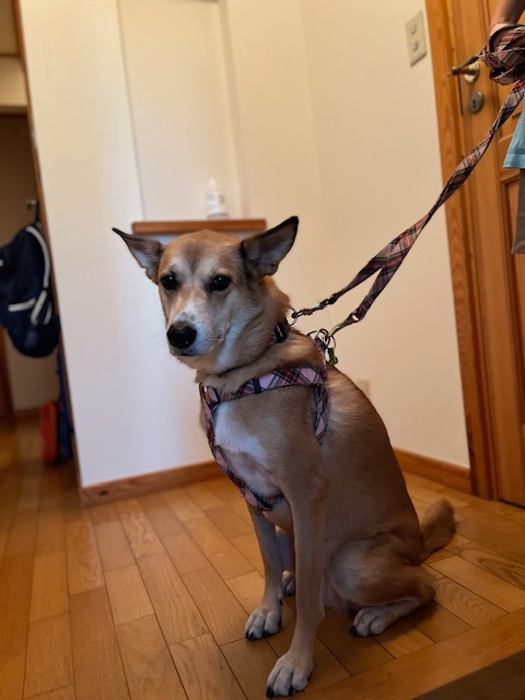 保育室こどものせかいの写真3枚目: