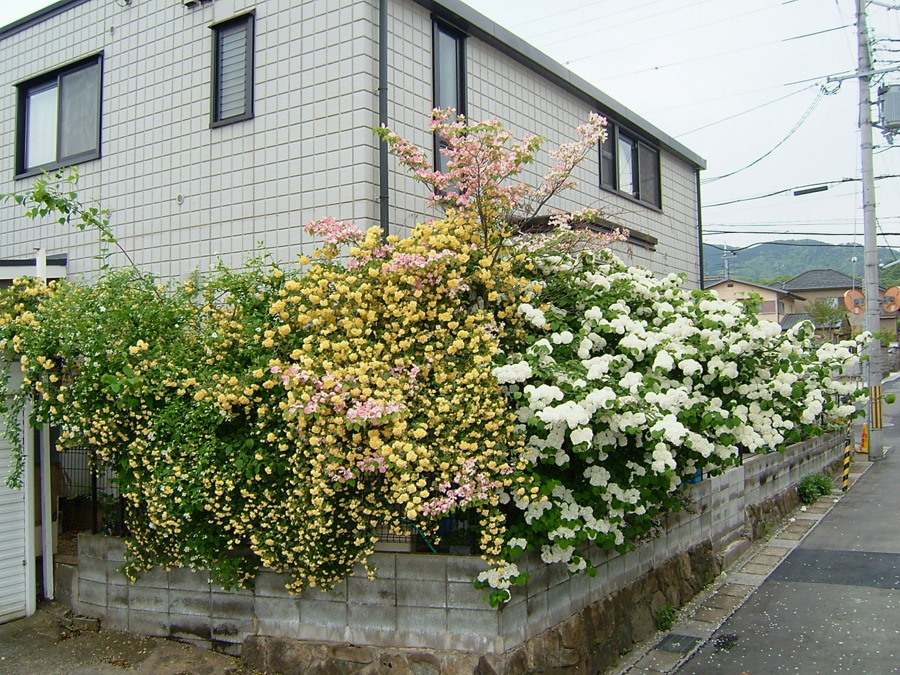のぞみ相談所の写真3枚目：