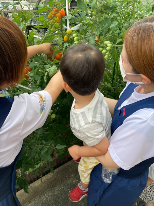 あじや保育園Anera～アネラ～の写真4枚目：一人ひとりにじっくりとかかわるわることが出来ます。