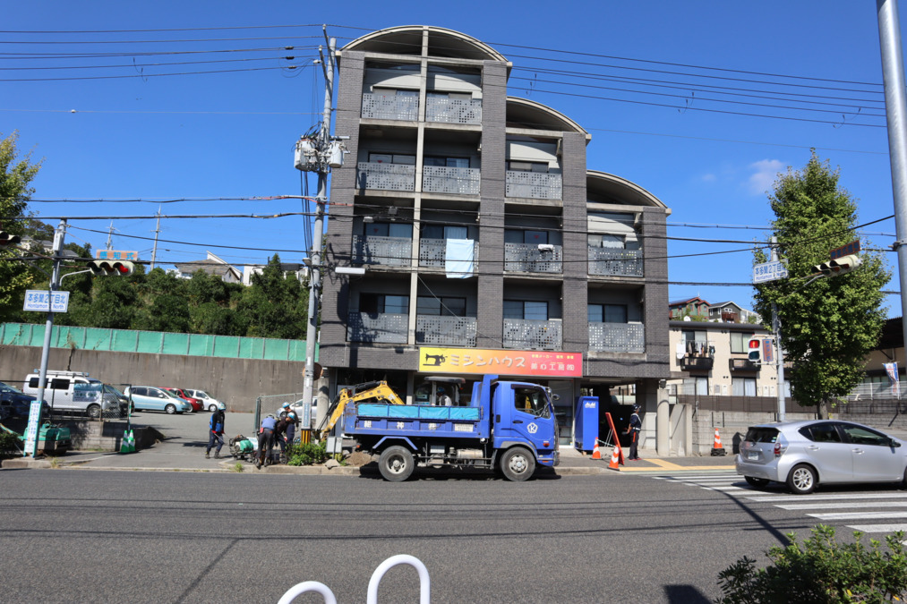 ここしあの写真