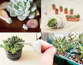 就労支援B型事業所 お仕事サプリ KOHAKU【2025年09月01日オープン】（サービス管理責任者の求人）の写真5枚目：