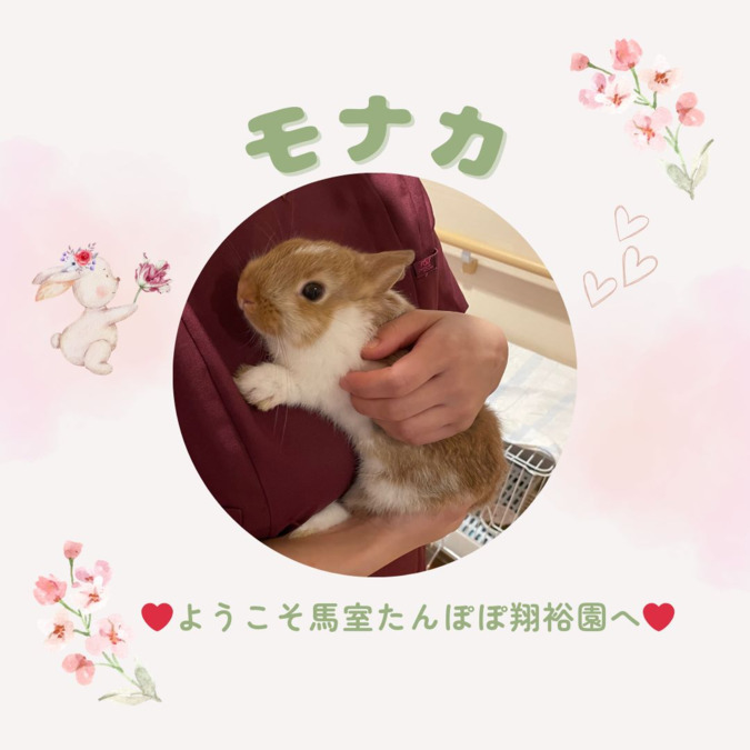 馬室たんぽぽ翔裕園の写真