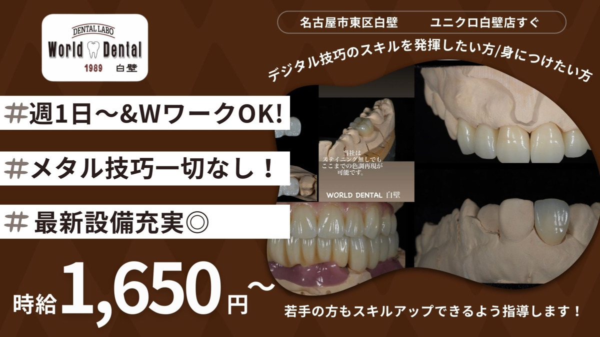 WORLD DENTAL 白壁の写真