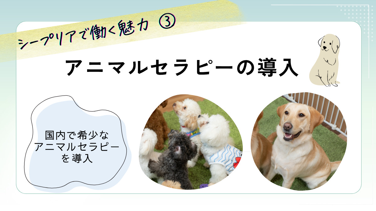 SheepLia　住宅型有料老人ホーム（看護師/准看護師の求人）の写真4枚目：