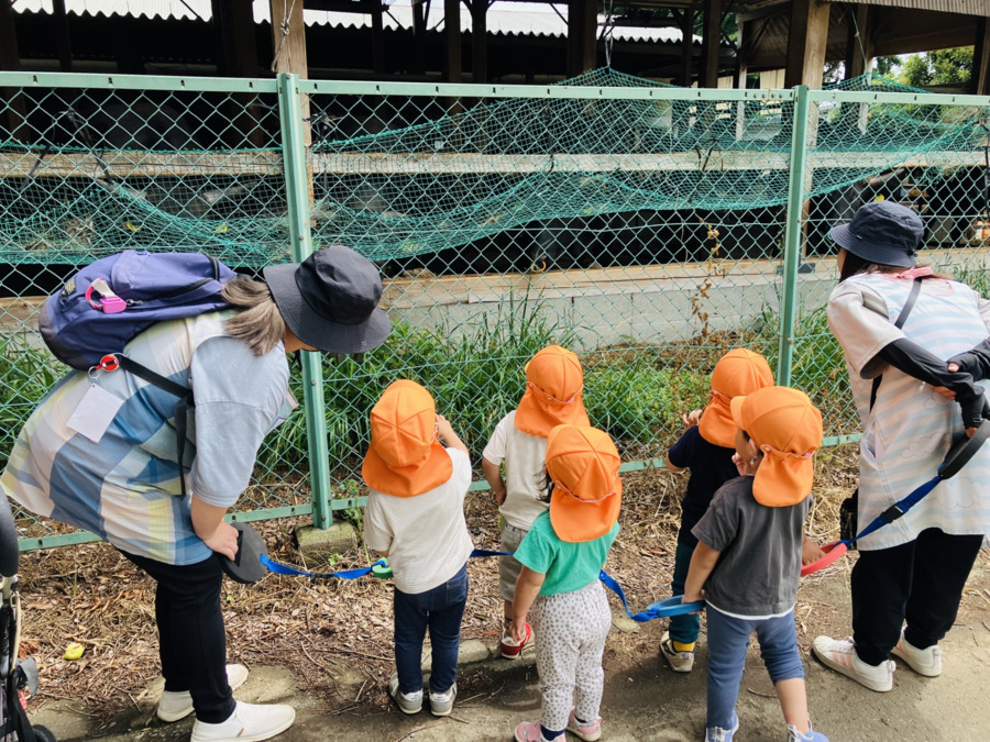 キッズユリノキ保育園（保育士の求人）の写真2枚目：