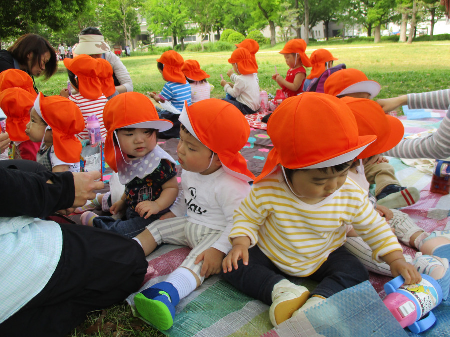 てんとうむし園の写真7枚目：春のピクニックです