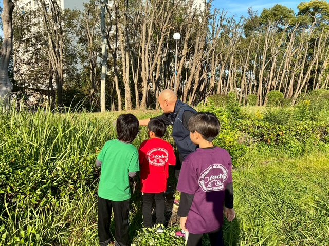 放課後等デイサービス・児童発達支援　マードレ（保育士の求人）の写真4枚目：