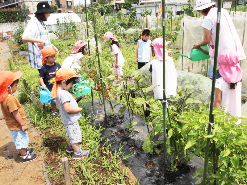 稲毛こどもの木保育園の写真4枚目：