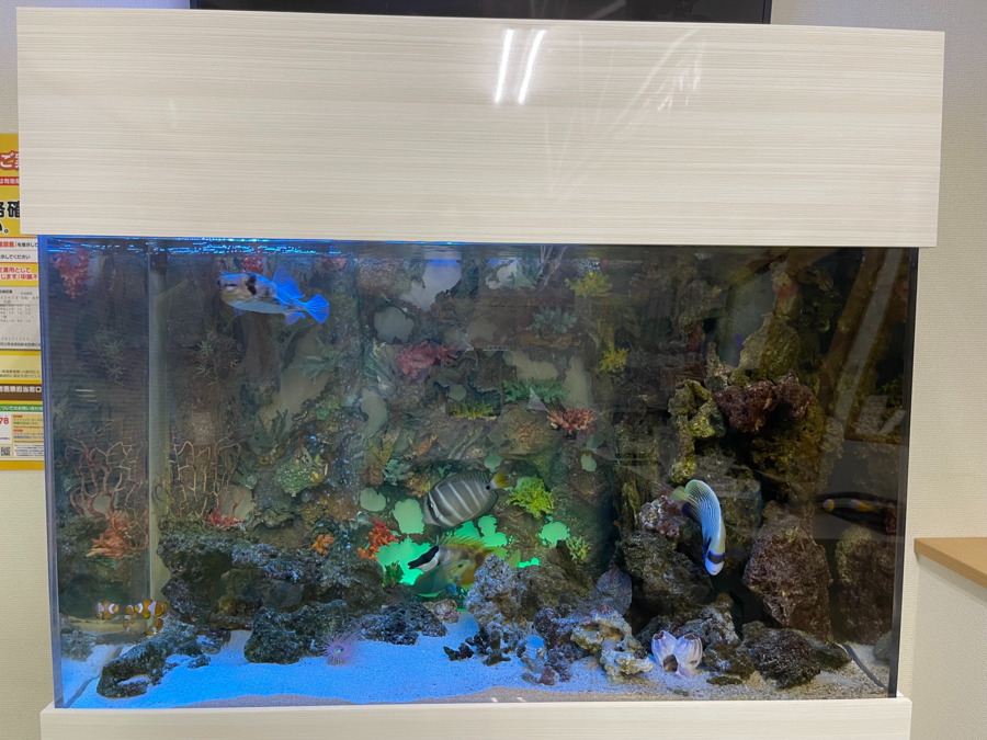 きたこし薬局(薬剤師の求人)の写真3枚目: