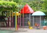 幼稚園型認定こども園共立幼稚園の写真2枚目：