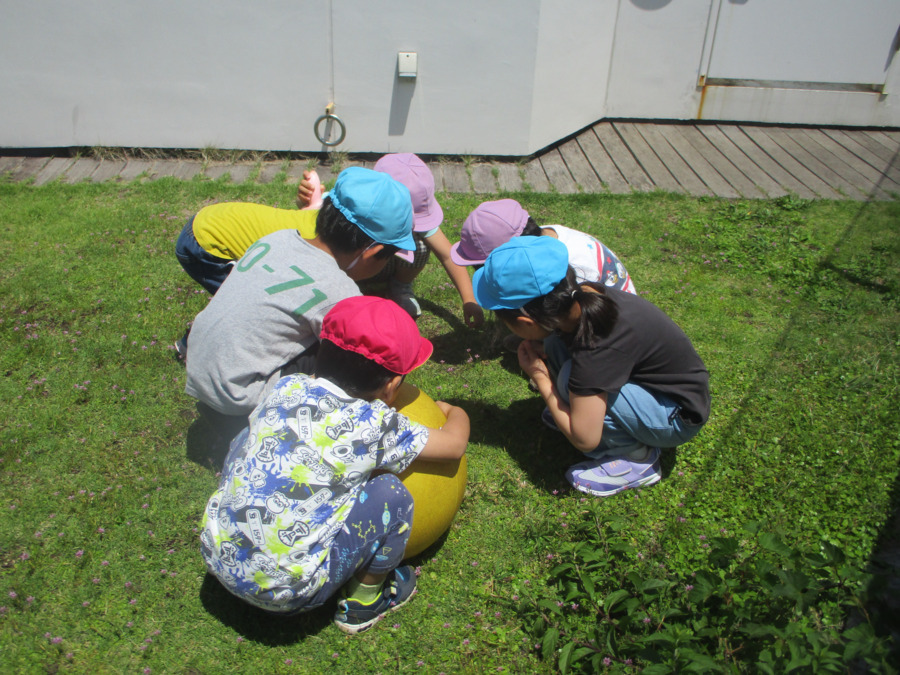 湘南アイルド逗子保育園(調理師/調理スタッフの求人)の写真2枚目: