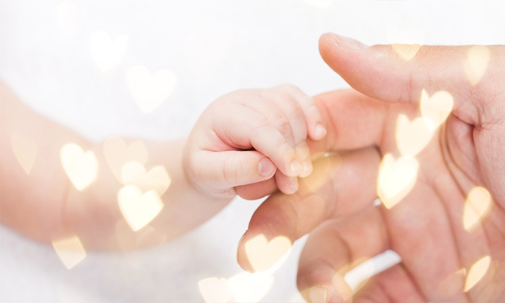 甲子園口 ほんわか保育園(調理師/調理スタッフの求人)の写真2枚目: