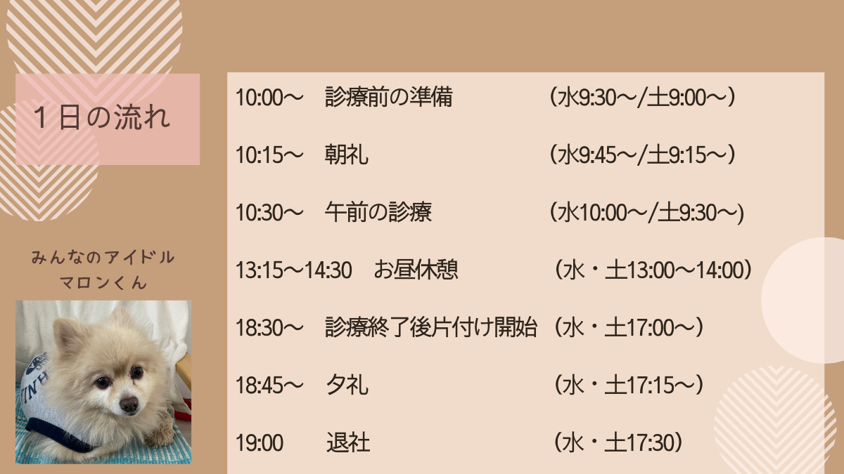医療法人社団ゆうみらい歯会 有田歯科医院 （歯科衛生士の求人）の写真8枚目：