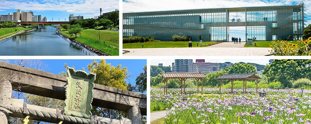 介護付有料老人ホーム　あいらの杜 江戸川篠崎の写真2枚目：小岩菖蒲園や河川敷緑地など、多くの自然に囲まれた開放感溢れる区の東側にあります。