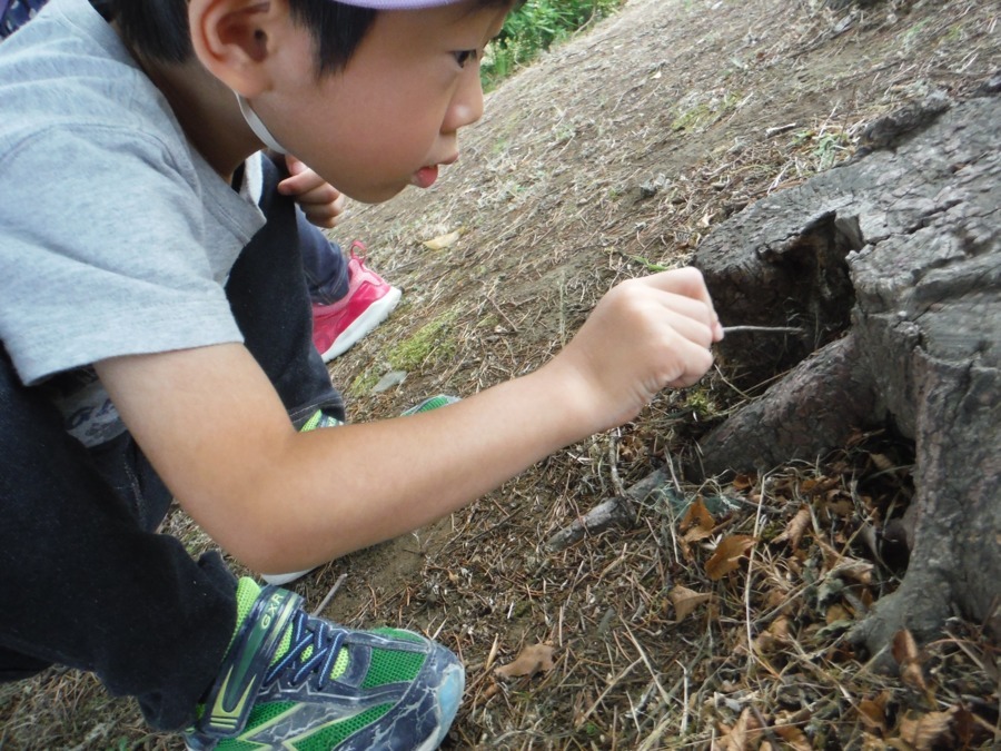 i-保育園の写真5枚目：