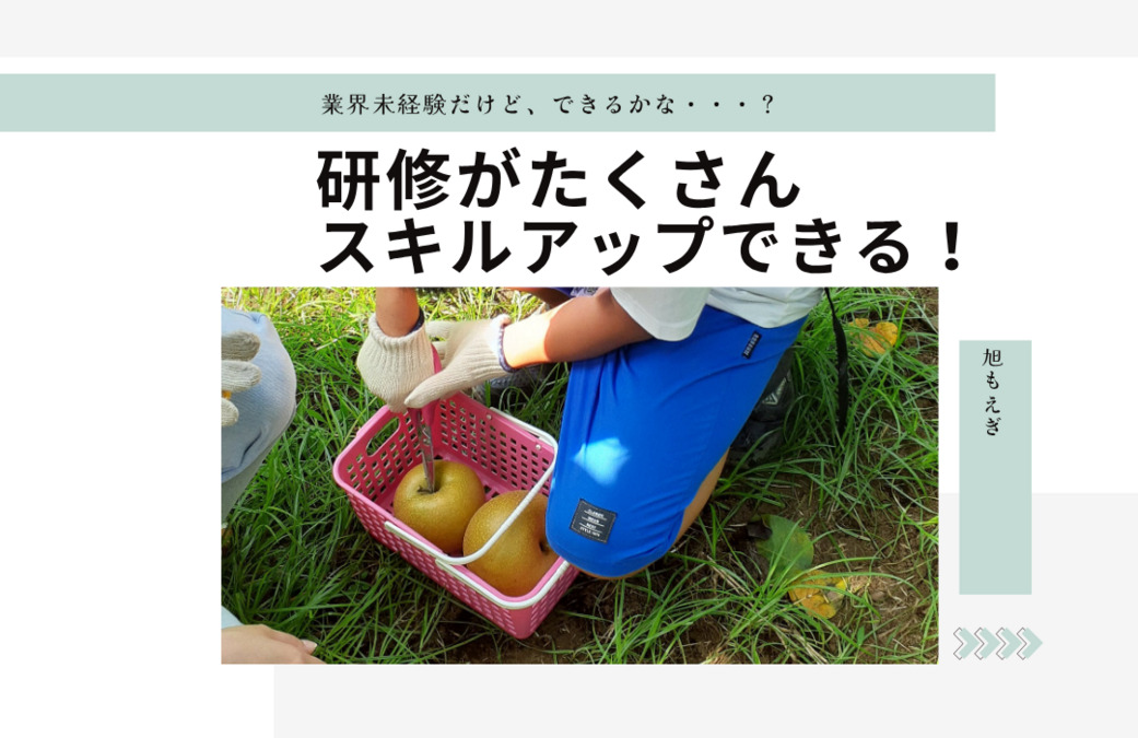 旭もえぎ（作業療法士の求人）の写真4枚目：