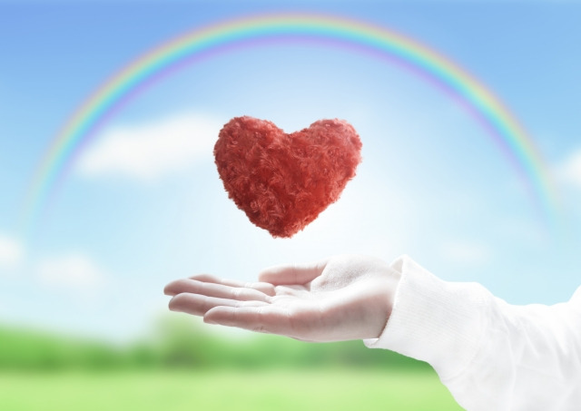 なのはなぷらすの写真