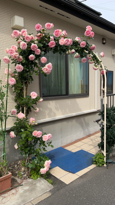 デイサービスこの道（生活相談員の求人）の写真6枚目：