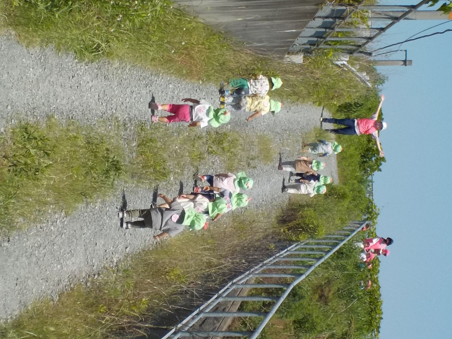 亀岡保育園（保育士の求人）の写真3枚目：