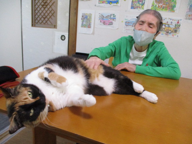 古民家デイサービスねこの手(介護職/ヘルパーの求人)の写真6枚目:利用者さんの前に来てゴロン