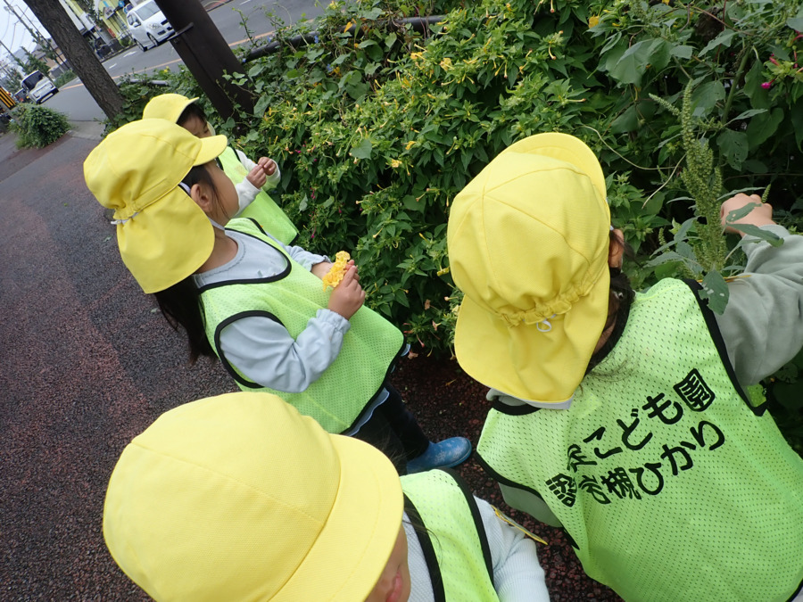 認定こども園岩槻ひかり（保育士の求人）の写真27枚目：