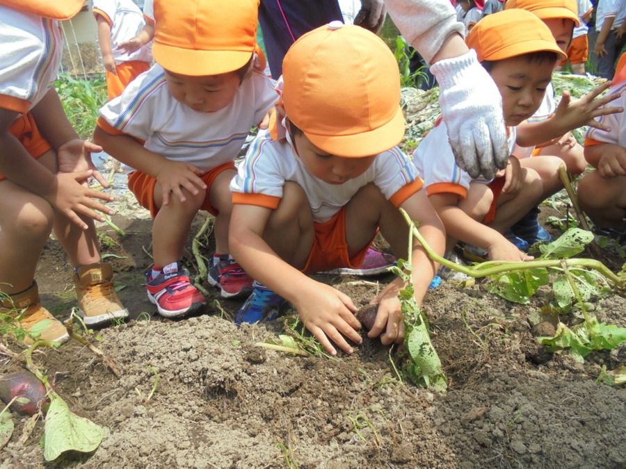幼保連携型認定こども園　西出水認定こども園（保育士の求人）の写真2枚目：