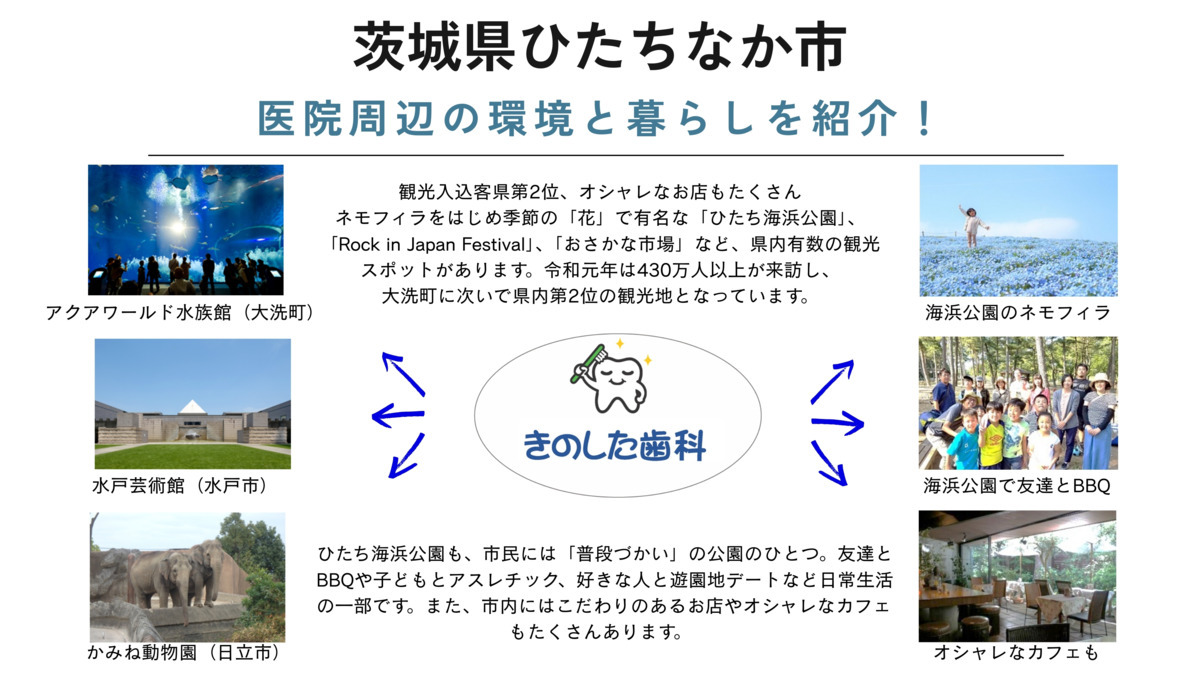 きのした歯科(歯科医師の求人)の写真35枚目: